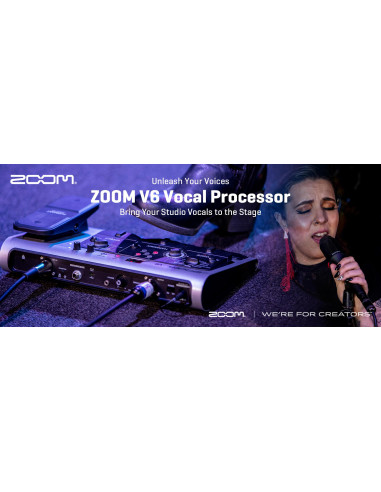 ZOOM V6 | Pedaliera Multieffetto per voce | Usato