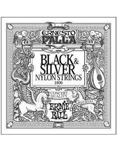 2406 | Muta corde per chitarra classica