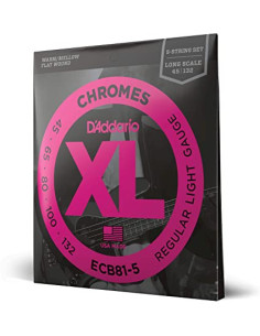 ECB81-5 | Muta di corde per basso