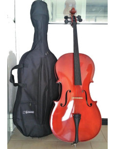 500552 | Violoncello 1/2