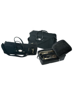 26141 | Astuccio per tromba