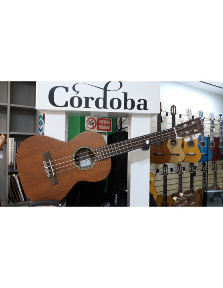 20TM | Ukulele Tenore