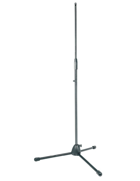 PRO110 | Asta microfonica