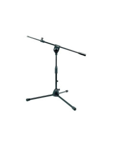 RSM181 | Asta microfonica