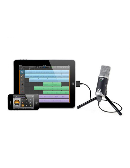 MIC