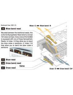 SUB30 | Armonica diatonica 2