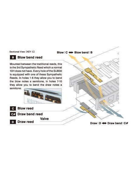SUB30 | Armonica diatonica