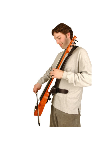 CR-FSS-CODB Frame Strap System