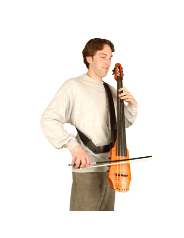 CR-FSS-CODB Frame Strap System