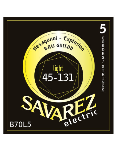 B70L5 Light Set 045/131