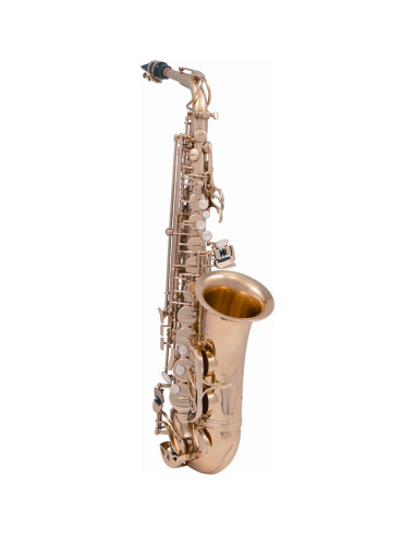 VSM A620-II Sax 600 Contralto