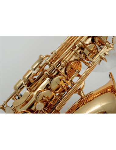 VSM A300 Sax 300 Contralto