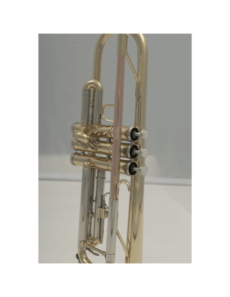 VSM TP300 Tromba Sib