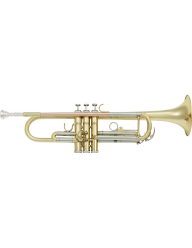 VSM TP300 Tromba Sib