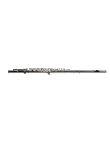 VSM FL300E