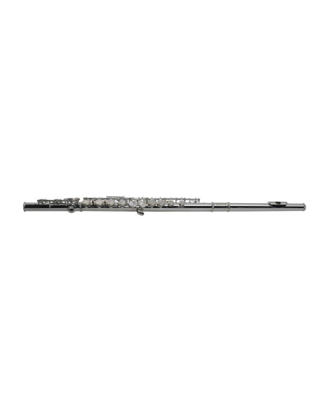 VSM FL300E