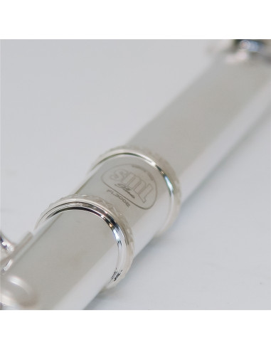 VSM FL300E