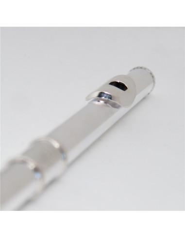 VSM FL300E