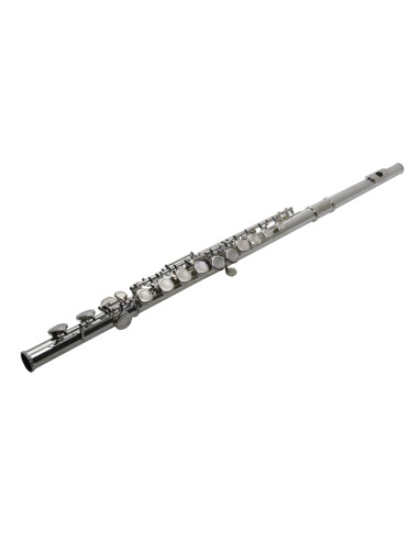 VSM FL300E