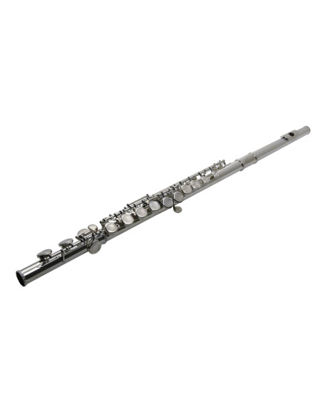 VSM FL300E