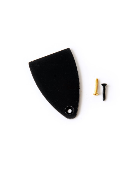 Truss Rod Cover & Screws (101737:001:008:)