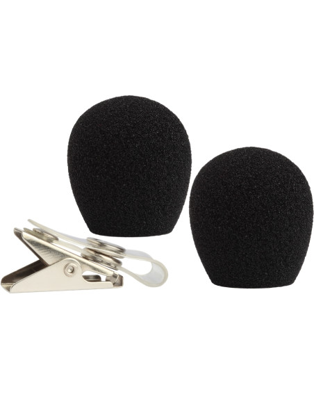 RK318WS Coppia di antivento e clip WH10 e WH20