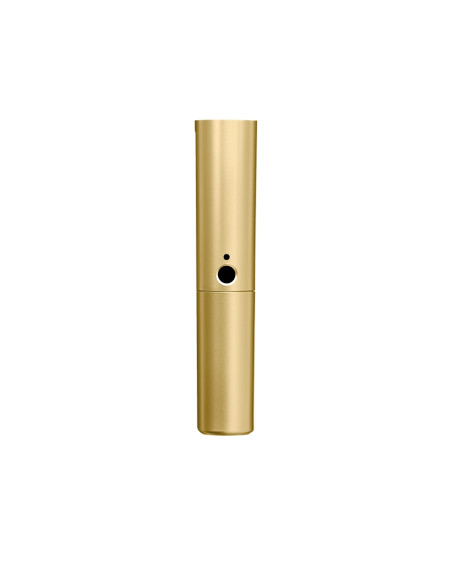 WA713-GLD Corpo oro BLX2 con capsula SM58 e Beta58A