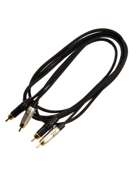 JUST/4RCA-1