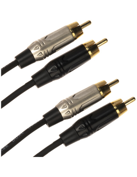 JUST/4RCA-1