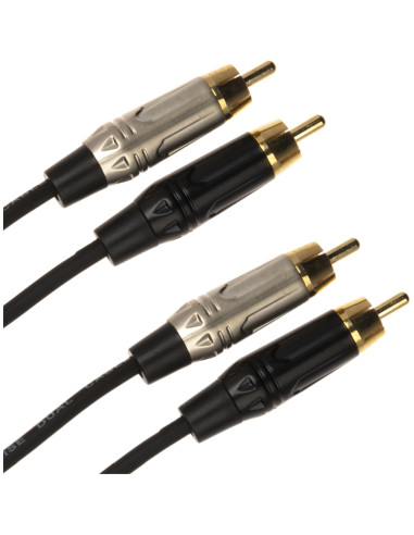 JUST/4RCA-3