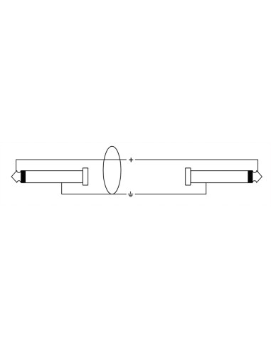 CPI 6 PP