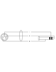 CFM 6 FV