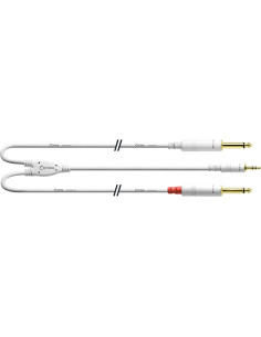 CFY 3 WPP-LONG-SNOW 2