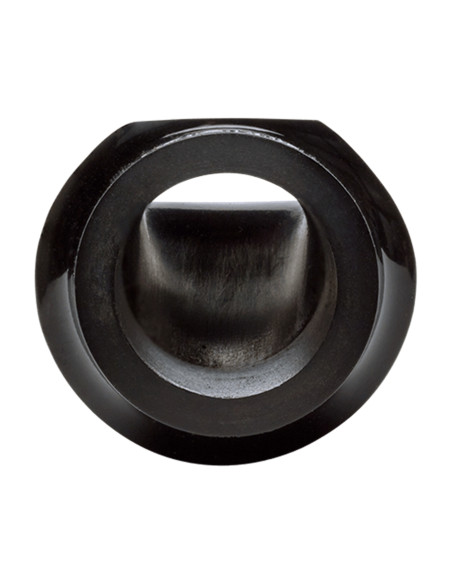 Bocchino USA Sax contralto New York 100th Anniversary 6M