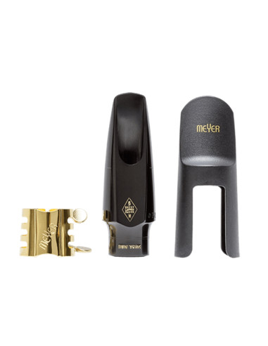 Bocchino USA Sax contralto New York 100th...