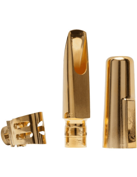 Bocchino Sax tenore Florida 8