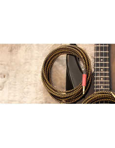 CXI6PP-Edition 25 SILENT