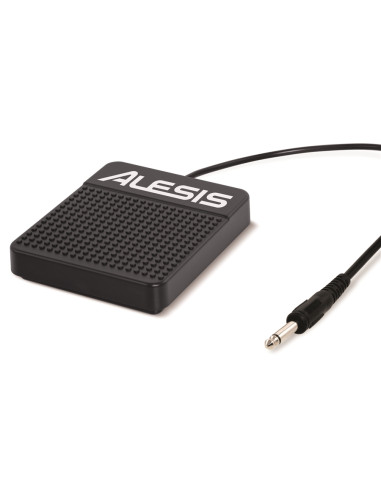 ASP-1 SUSTAIN PEDAL
