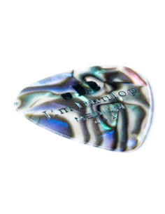 483P#14 Abelone Classic - Medium 2