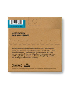 DJN0920 Banjo Nickel Wound, Light Set/5 2