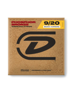 DJPS10 Corda Singola .010 Liscia