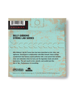 RWN0738 Rev. Willie, Extra Light Set/6 2