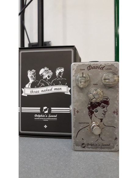 Dolphin's Sound David | Distorsore | Usato