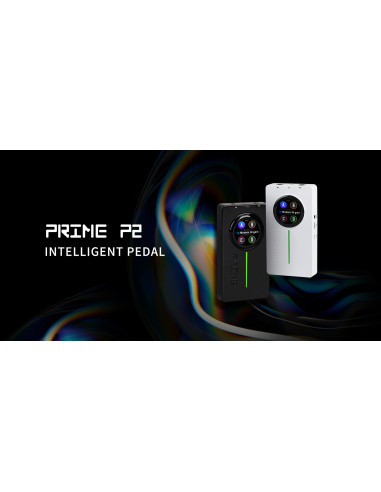 MOOER Prime P2 |Multieffetto per Chitarra