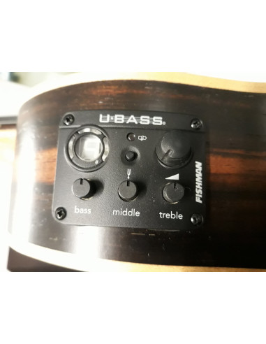 KALA U-BASS-EBY-FS | Ukulele Basso Elettrificato