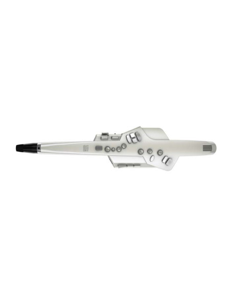 AE 10 | Aerofono digitale