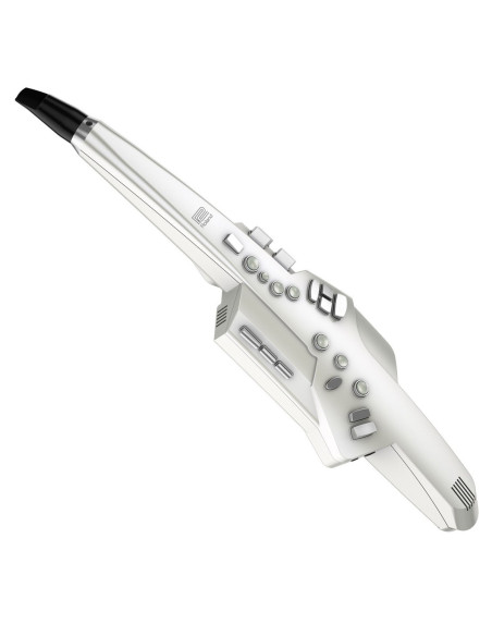 AE 10 | Aerofono digitale