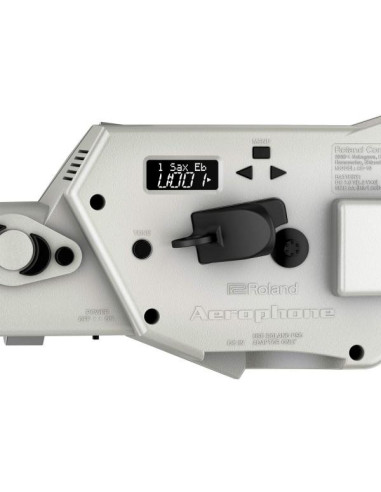 AE 10 | Aerofono digitale