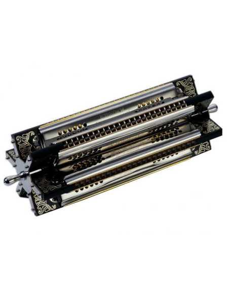 Sestetto | Armonica diatonica