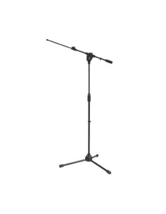 MSF10 | Asta microfonica